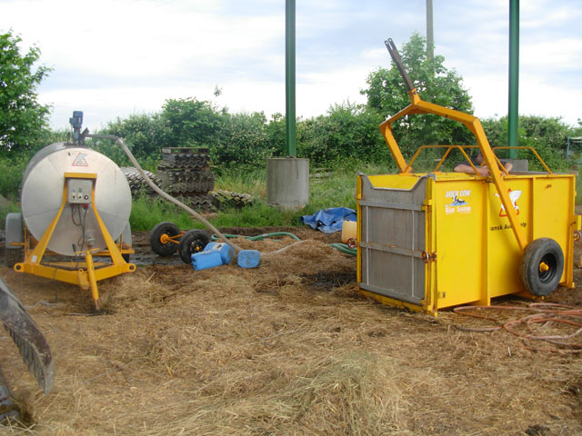 nage, ferme, aqua cow, vaches, eau, angevine, yaourt fermier, produit laitier, ferme, produit local, produits locaux, nager, piscine