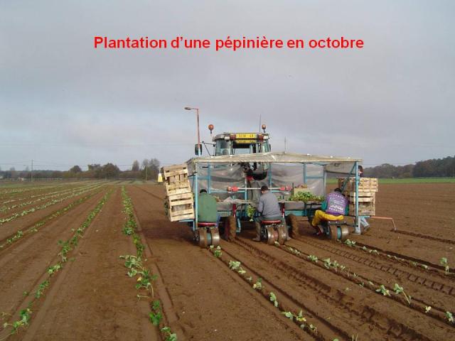 Plantation, pépinière, douceur angevine, yaourt fermier, produit laitier, ferme, produit local, produits locaux