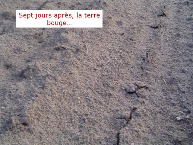 douceur angevine, yaourt fermier, produit laitier, ferme, produit local, produits locaux, terre, ferme