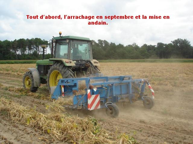 arrachage,douceur angevine, yaourt fermier, produit laitier, ferme, produit local, produits locaux, fermes, andain.