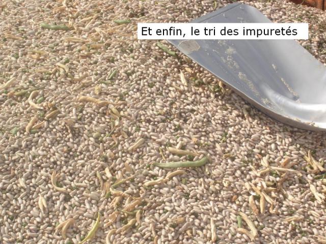 le tri, douceur angevine, yaourt fermier, produit laitier, ferme, produit local, produits locaux, des impuretés