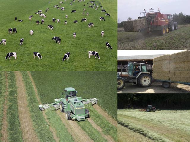 herbe, ensillage, foin, longué-jumelles, enrubannage,douceur angevine, yaourt fermier, produit laitier, ferme, produit local, produits locaux, tracteur, ensilleuse
