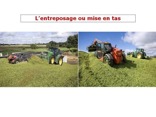 ensillage, tracteurs, longué-jumelles, silo, john deere, manitou, telescopique, douceur angevine, yaourt fermier, produit laitier, ferme, produit local, produits locaux, mais