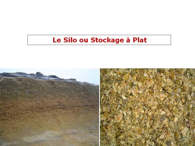 Le silo, douceur angevine, yaourt fermier, produit laitier, ferme, produit local, produits locaux