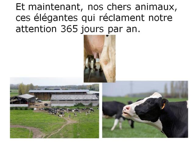 douceur angevine, yaourt fermier, produit laitier, ferme, produit local, produits locaux,200 vaches,gaec du lathan, ferme, agriculteur, paysan, maine et loire
