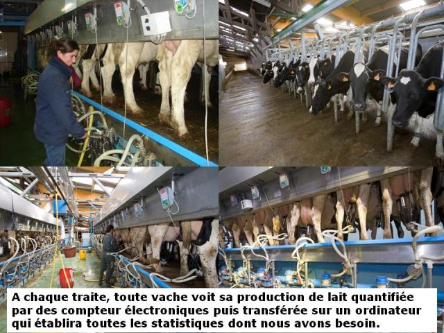 menu, matins, gaec du lathan, longué-jumelles, maine et loire, douceur angevine, yaourt fermier, produit a la ferme, produit laitier, ferme, produit local, produits locaux