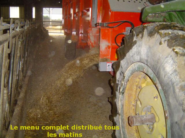 ingrédients, ration, menu équilibré, longué, jumelles, yaourt