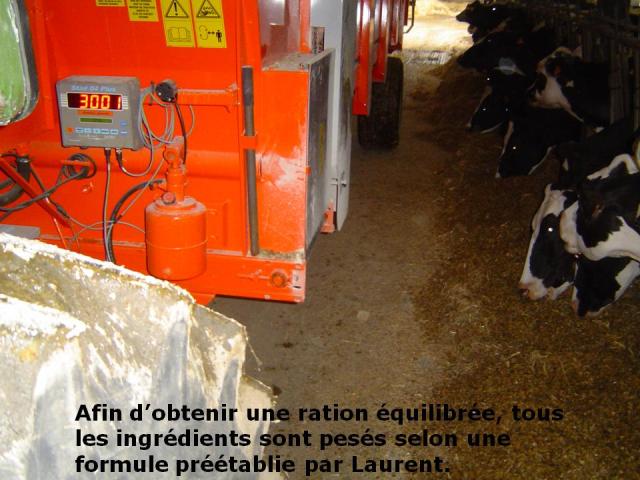 yaourt,yaourt fermier, fromage, fromages, fromages fermiers, blanc, fromages blanc, longué, jumelles, gaec du lathan