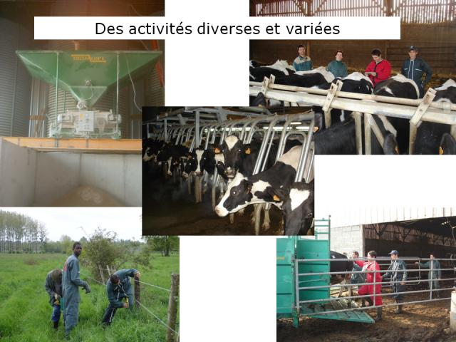 ferme, exploitation agricole, exploitations agricoles, stage, ferme, stage ferme, longué-jumelles, gaec du lathan