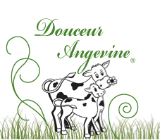yaourt, douceur angevine, angers, fromage blanc, ferme, terroir, campagne